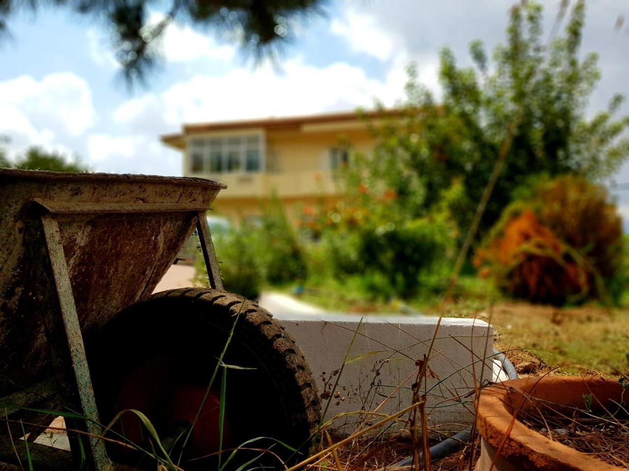 Maison Kronio Lassithi Plateau Marmaketon Exterior photo